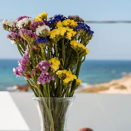 Apartment Celestial Seaview - Vilma Naxos City